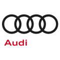 audi-brincar